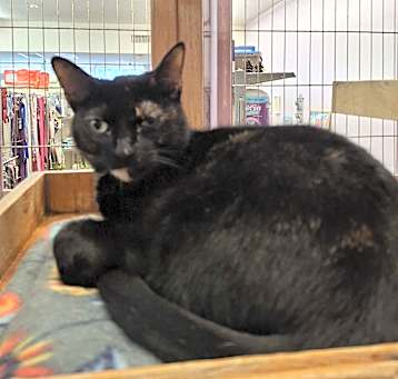 Photo of Molly