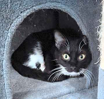 Photo of Boots