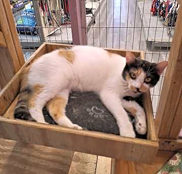 Photo of Luna