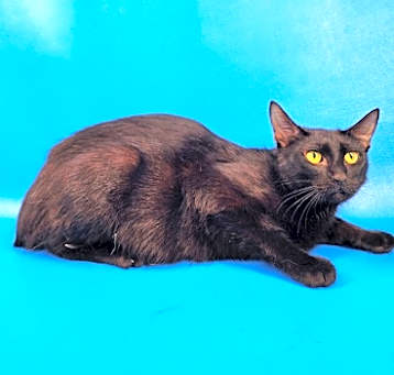 Photo of Sloane