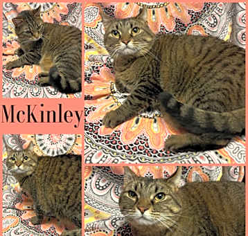 Photo of McKinley