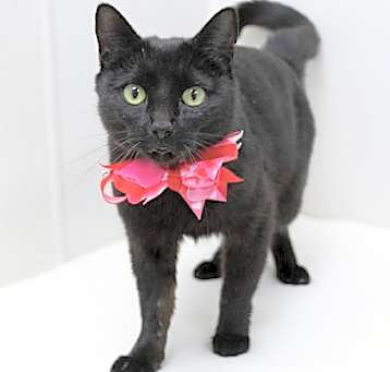 Photo of Charlotte