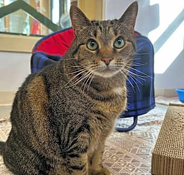 Photo of Layla