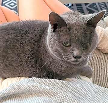 Photo of Little Miss