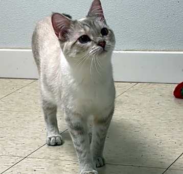 Photo of Josette