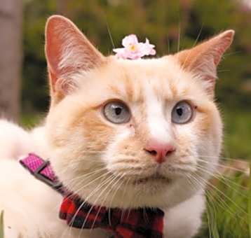 Photo of Tighty Whitey (Kurt)