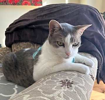 Photo of SUNNY