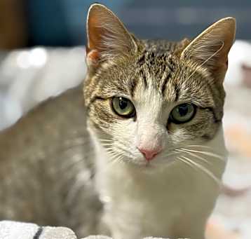Photo of Mia