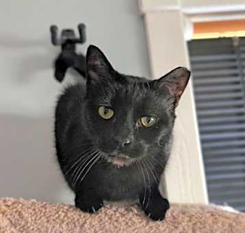 Photo of Savannah