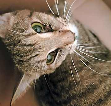 Photo of Lucy