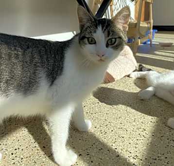 Photo of Lillah