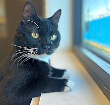 Photo of Doofy