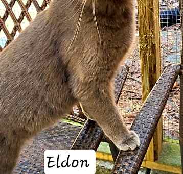 Photo of Eldon