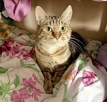 Photo of Fiona