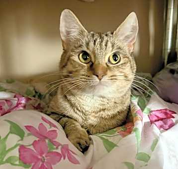 Photo of Fiona
