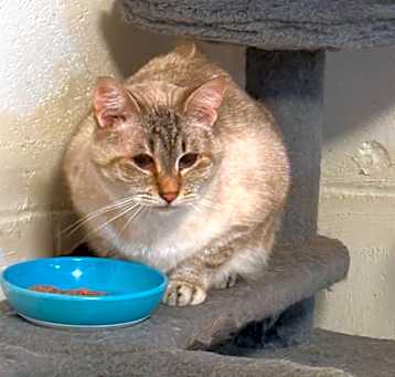 Photo of Murietta