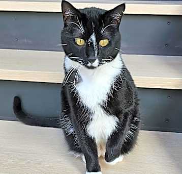 Photo of Fitz