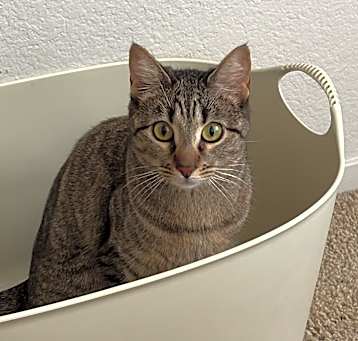 Photo of Mila