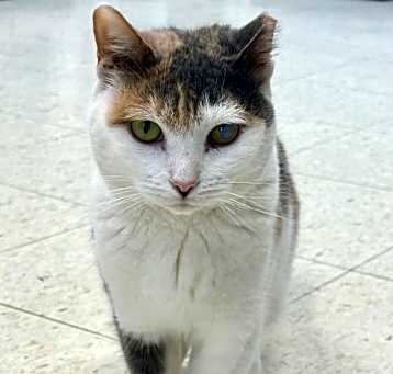 Photo of Claudette