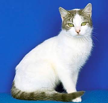 Photo of Ivy- 012206T