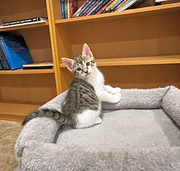 Photo of Duncan