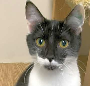 Photo of Misty24