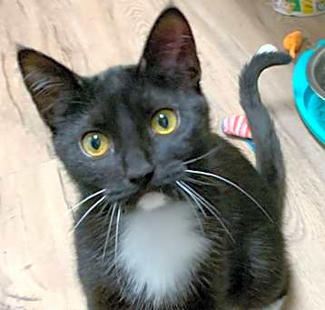 Photo of Mickey24