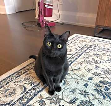 Photo of Sasha
