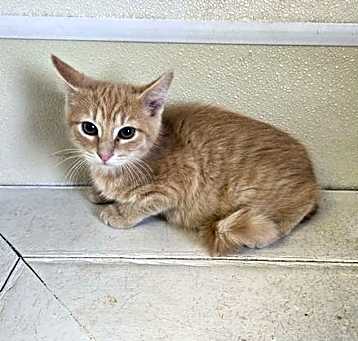 Photo of Hecliff