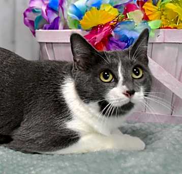 Photo of Lenora
