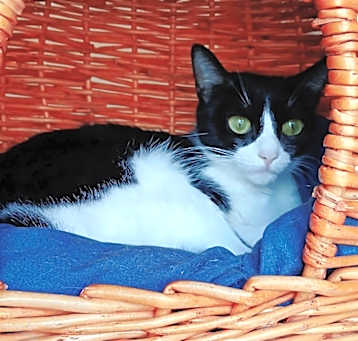 Photo of Lola