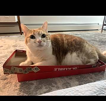 Photo of Momo