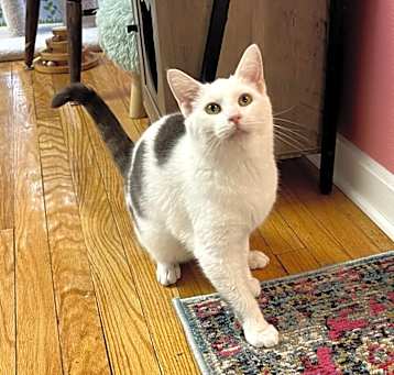 Photo of Tundra