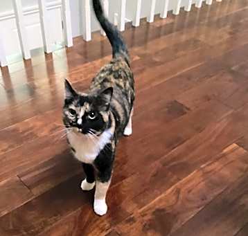 Photo of Quinn
