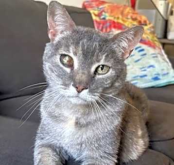 Photo of Darla