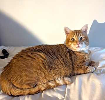 Photo of Buford