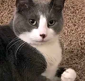 Photo of Vinny