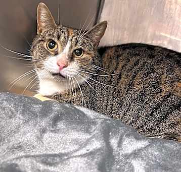 Photo of Bean