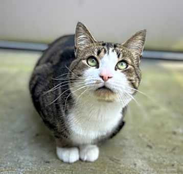 Photo of Oscar