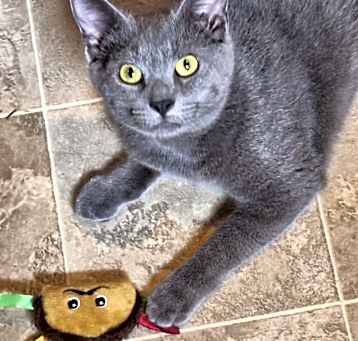 Photo of Rascal (Flatts)-Courtesy Post