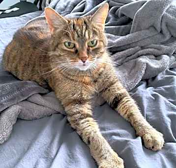 Photo of Cleo
