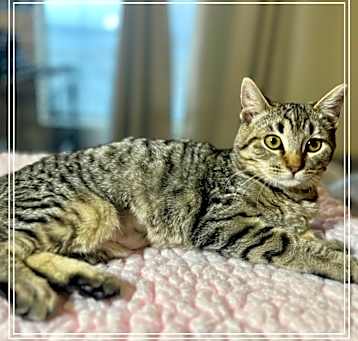 Photo of Libby