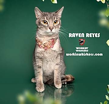 Photo of RAVEN REYES
