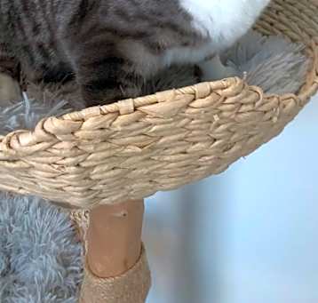 Photo of Simon