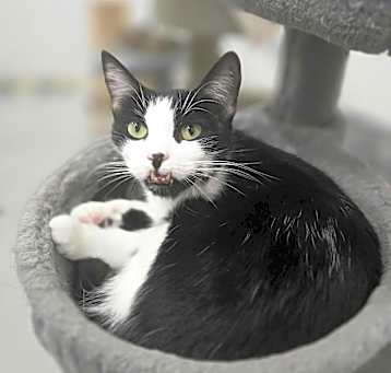 Photo of Rocky