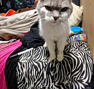 Photo of Eleanor