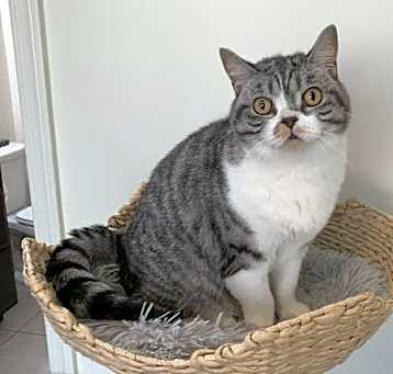 Photo of Daisy