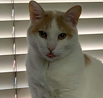 Photo of Haelee