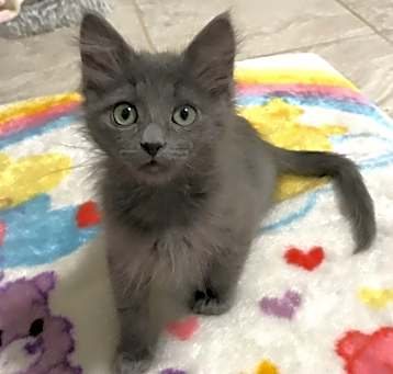 Photo of Asher