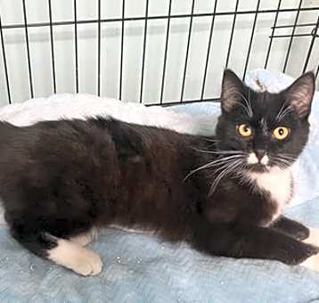 Photo of Cathy-now in foster care